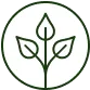 Non-GMO